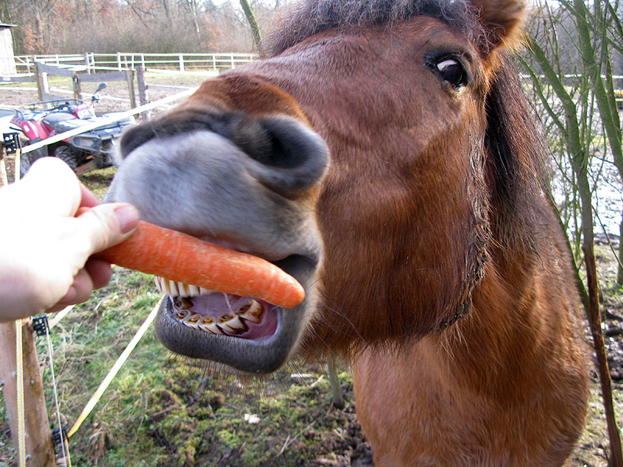 %_tempFileName121224_4842_kaspi%