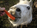 %_tempFileName121224_4839_tony%