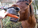 %_tempFileName121224_4842_kaspi%