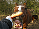%_tempFileName121224_4846_viking%