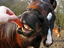 %_tempFileName121224_4847_katie%