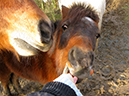 %_tempFileName121224_4850_bony%