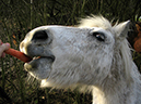 %_tempFileName121224_4853_tony%