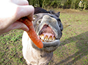 %_tempFileName121224_4858_rita%