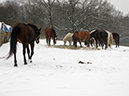 %_tempFileName130123_5013%