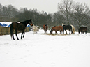 %_tempFileName130123_5015%