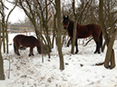 %_tempFileName130124_0362%