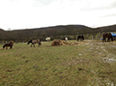 %_tempFileName130204_0453%