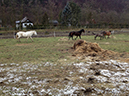 %_tempFileName130204_0456%