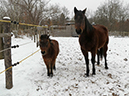 %_tempFileName130214_2062%