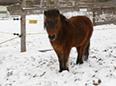 %_tempFileName130214_2064%