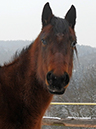 %_tempFileName130214_2092%
