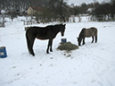 %_tempFileName130221_5073%