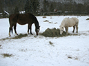%_tempFileName130221_5078%