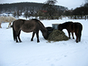 %_tempFileName130221_5091%