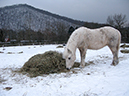 %_tempFileName130221_5106%