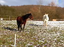 %_tempFileName131207_2194%