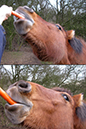 %_tempFileName131224_6139%
