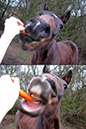 %_tempFileName131224_6146%