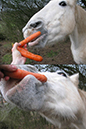 %_tempFileName131224_6191%