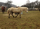 %_tempFileName130312_0550_tony%
