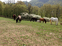 %_tempFileName130427_0674%