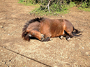%_tempFileName130518_0783%