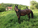 %_tempFileName130606_1021%