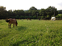 %_tempFileName130710_1387%