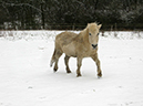 %_tempFileName140127_6370%