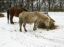 %_tempFileName140127_6372%