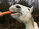 %_tempFileName141224_0736%