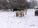 %_tempFileName141229_0812%