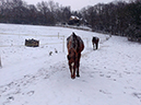%_tempFileName141229_0816%