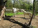 %_tempFileName140411_6475%