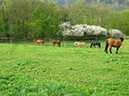 %_tempFileName140413_6525%