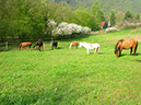 %_tempFileName140413_6531%