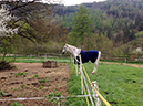 %_tempFileName140415_2811%
