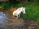 %_tempFileName140522_3190%
