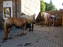 %_tempFileName140606_3257%