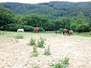 %_tempFileName140615_3371%