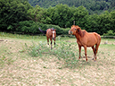 %_tempFileName140615_3373_3382%