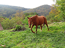 %_tempFileName141010_0031%