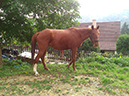 %_tempFileName141010_0034%