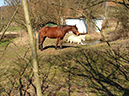 %_tempFileName150319_5280%