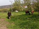 %_tempFileName160501_102245%